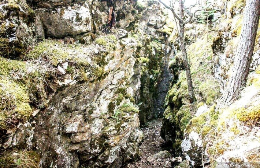 Весёлые грибы. Великие скалы. Тропами гномов