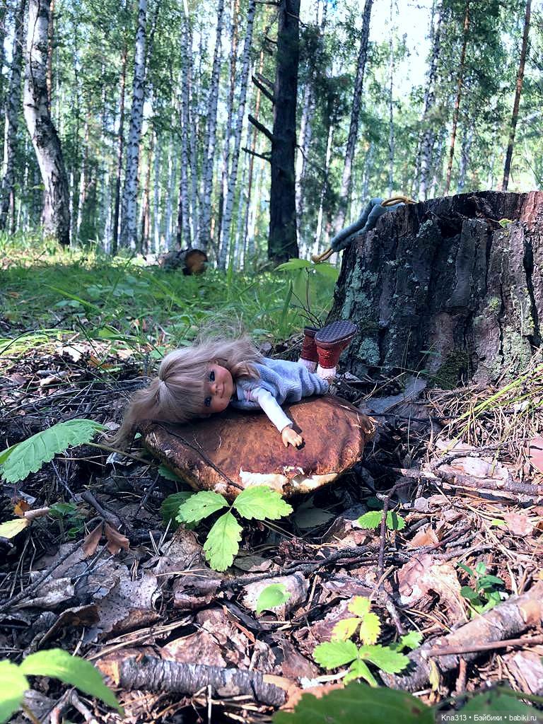 Весёлые грибы. Великие скалы. Тропами гномов