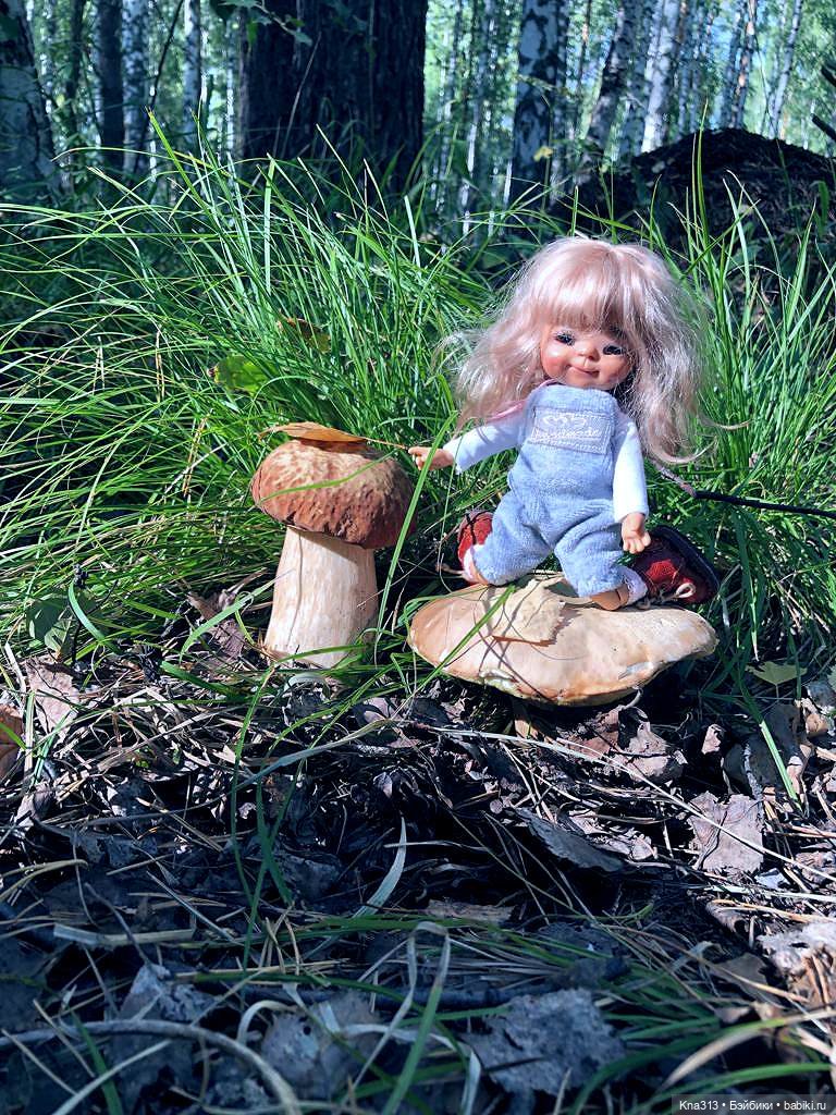 Весёлые грибы. Великие скалы. Тропами гномов (фото 8)