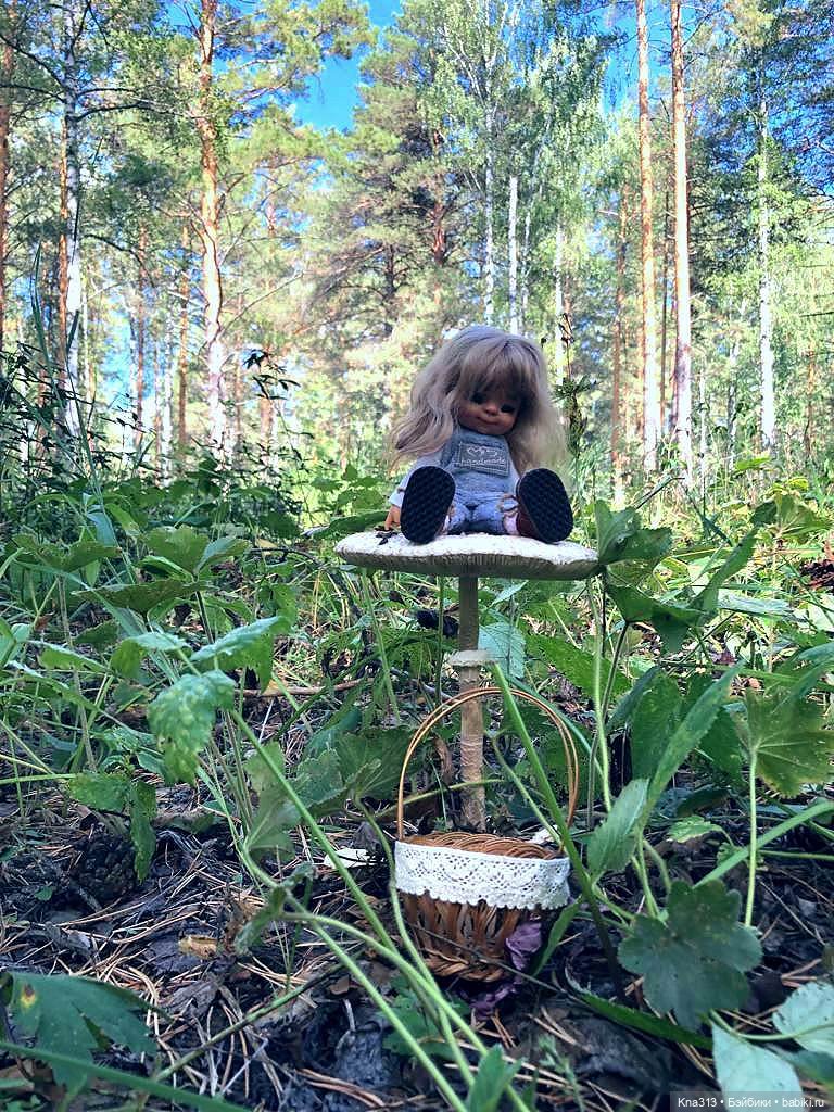Весёлые грибы. Великие скалы. Тропами гномов (фото 5)