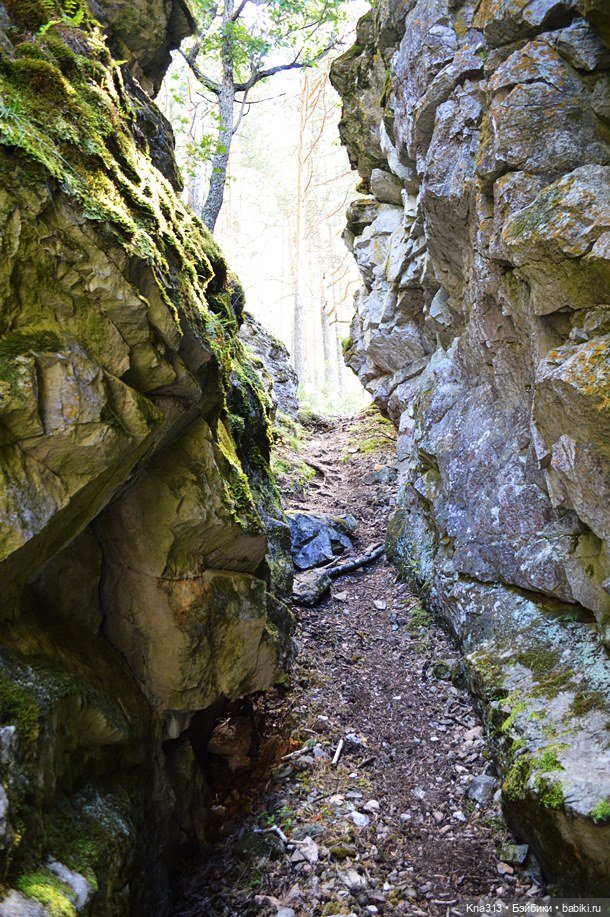 Весёлые грибы. Великие скалы. Тропами гномов
