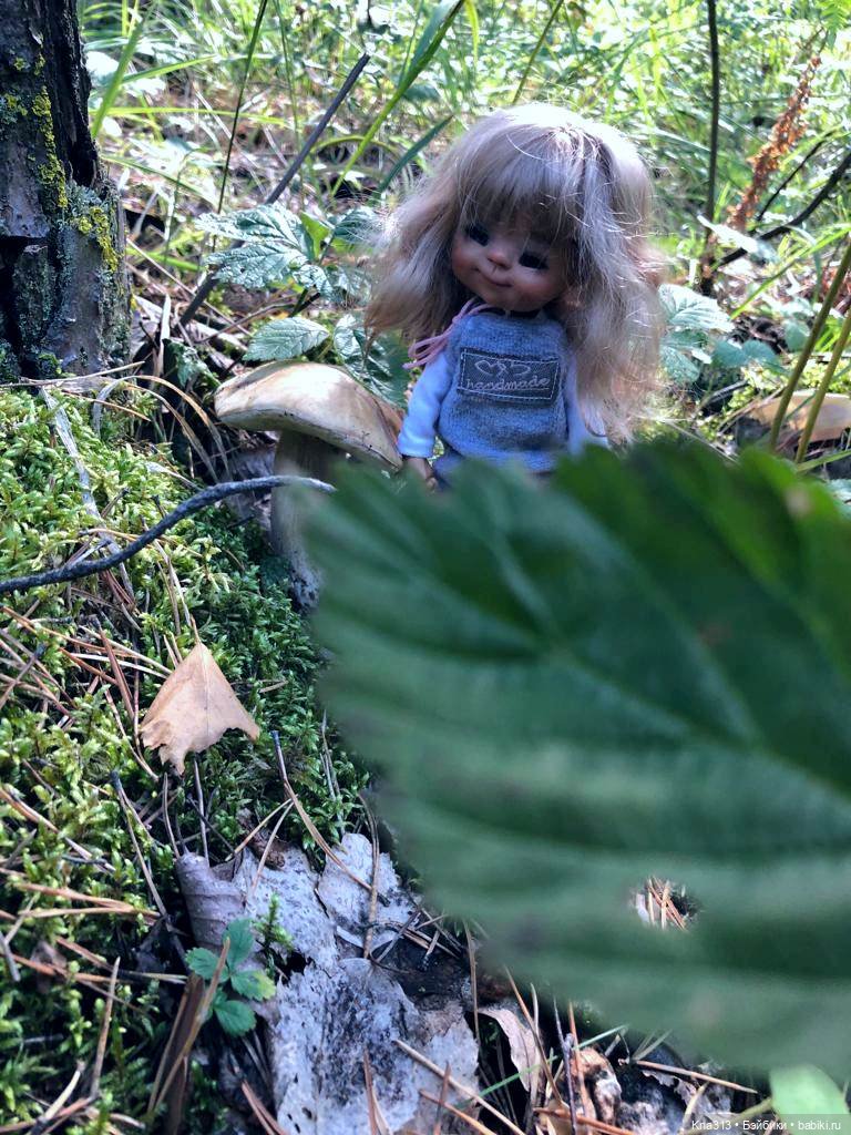 Весёлые грибы. Великие скалы. Тропами гномов