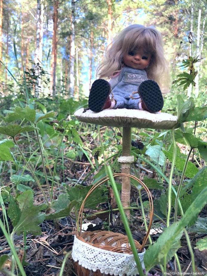 Весёлые грибы. Великие скалы. Тропами гномов (фото 4)