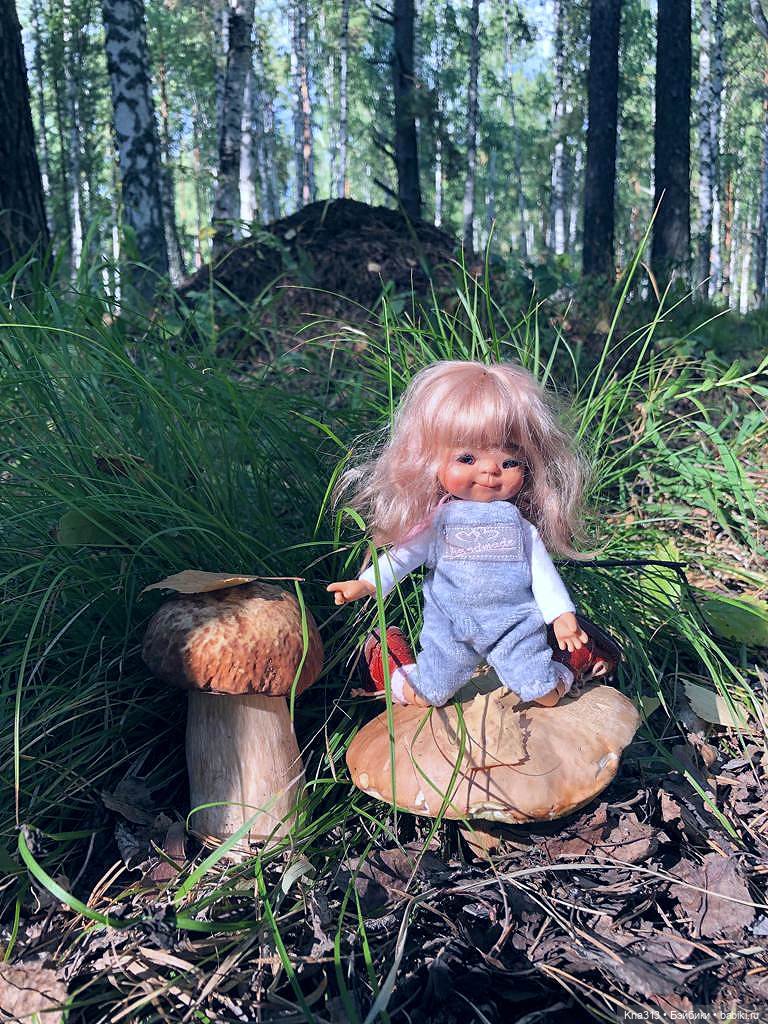 Весёлые грибы. Великие скалы. Тропами гномов