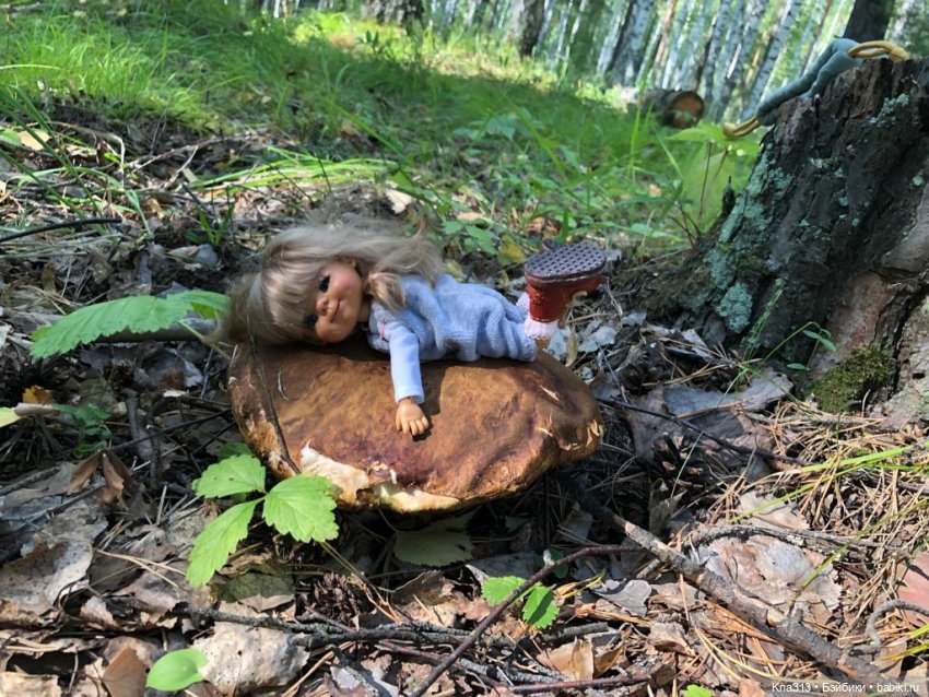 Весёлые грибы. Великие скалы. Тропами гномов