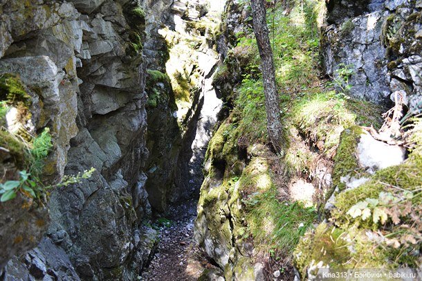 Весёлые грибы. Великие скалы. Тропами гномов