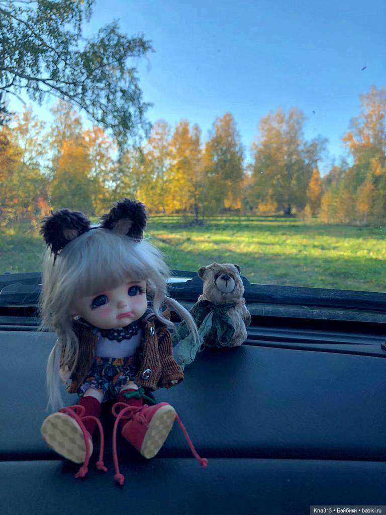 Осенняя радость и потерянные уши