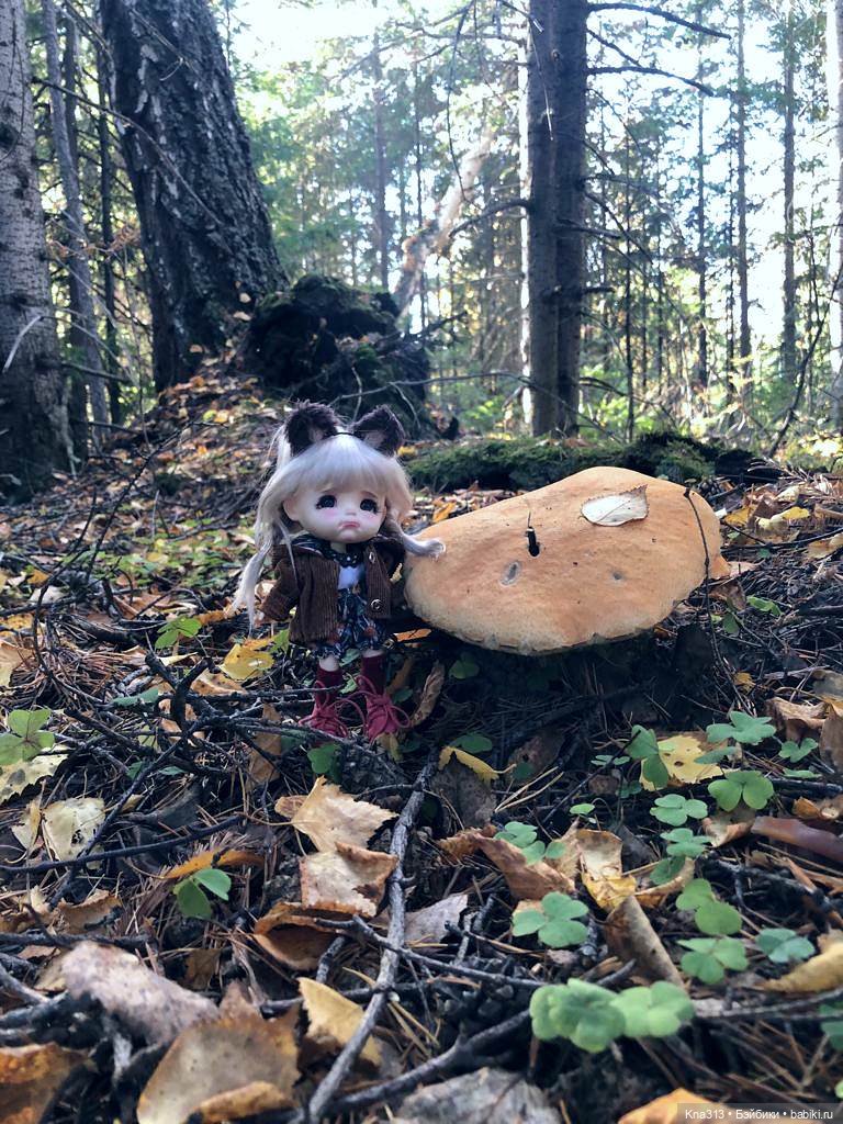 Осенняя радость и потерянные уши (фото 5)