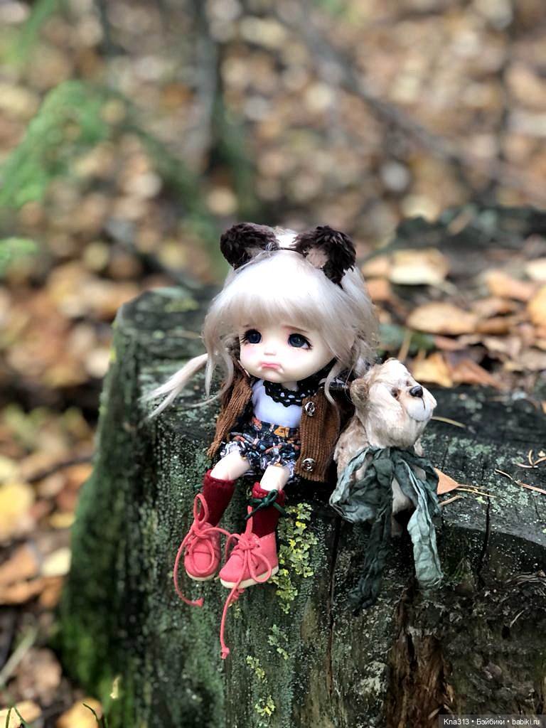 Осенняя радость и потерянные уши