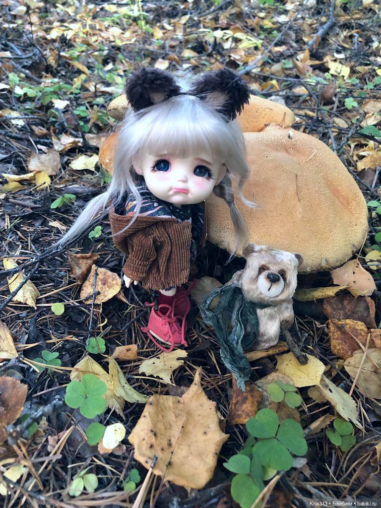 Осенняя радость и потерянные уши (фото 7)