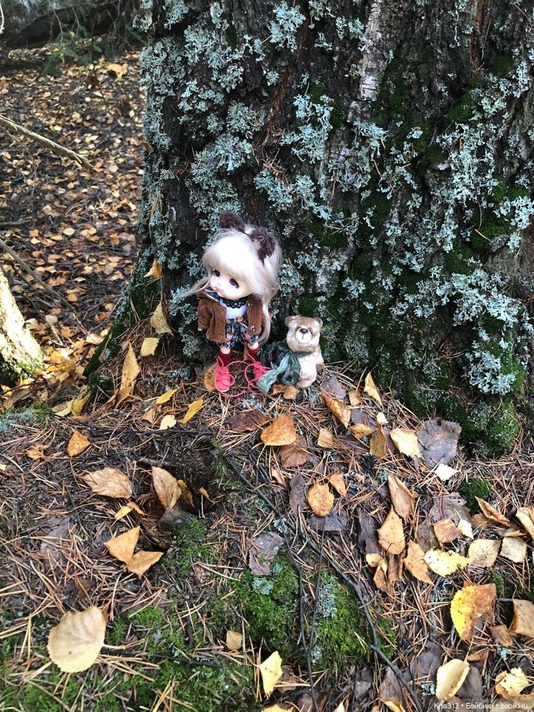 Осенняя радость и потерянные уши