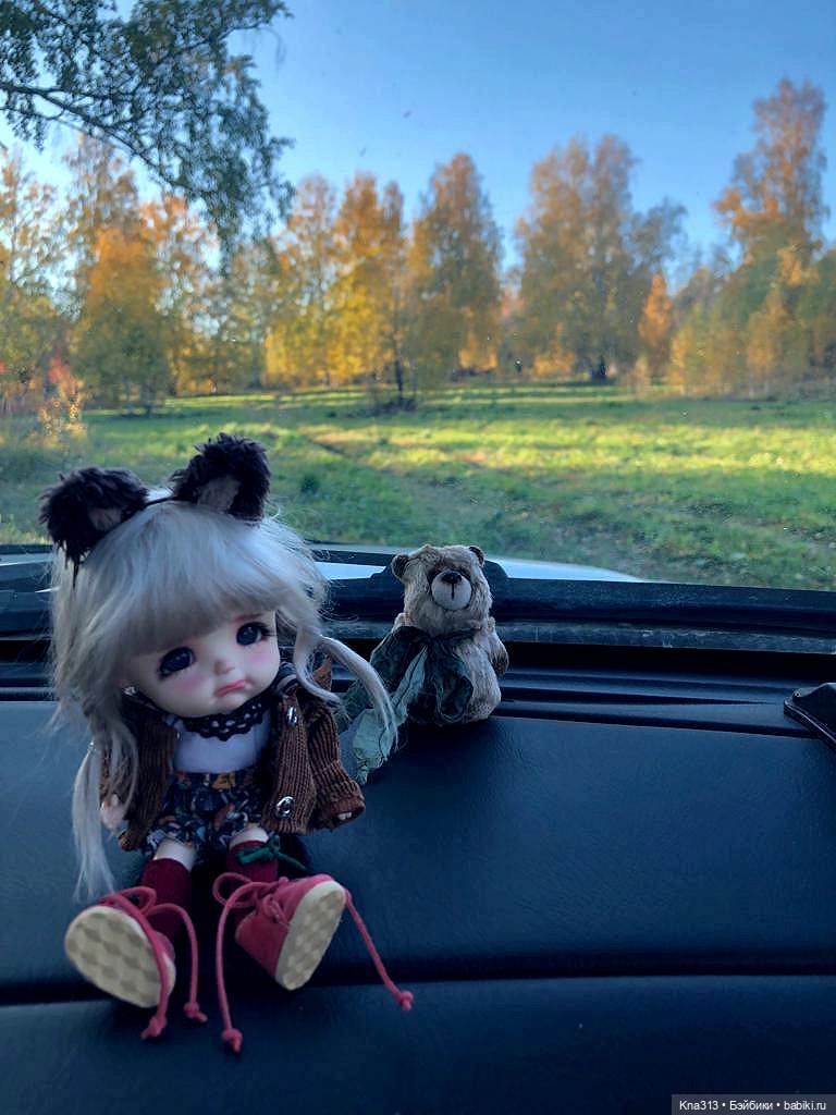 Осенняя радость и потерянные уши