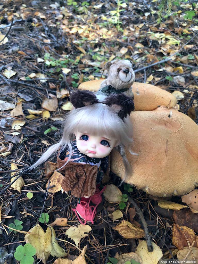 Осенняя радость и потерянные уши (фото 9)