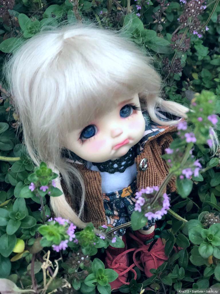 Осенняя радость и потерянные уши