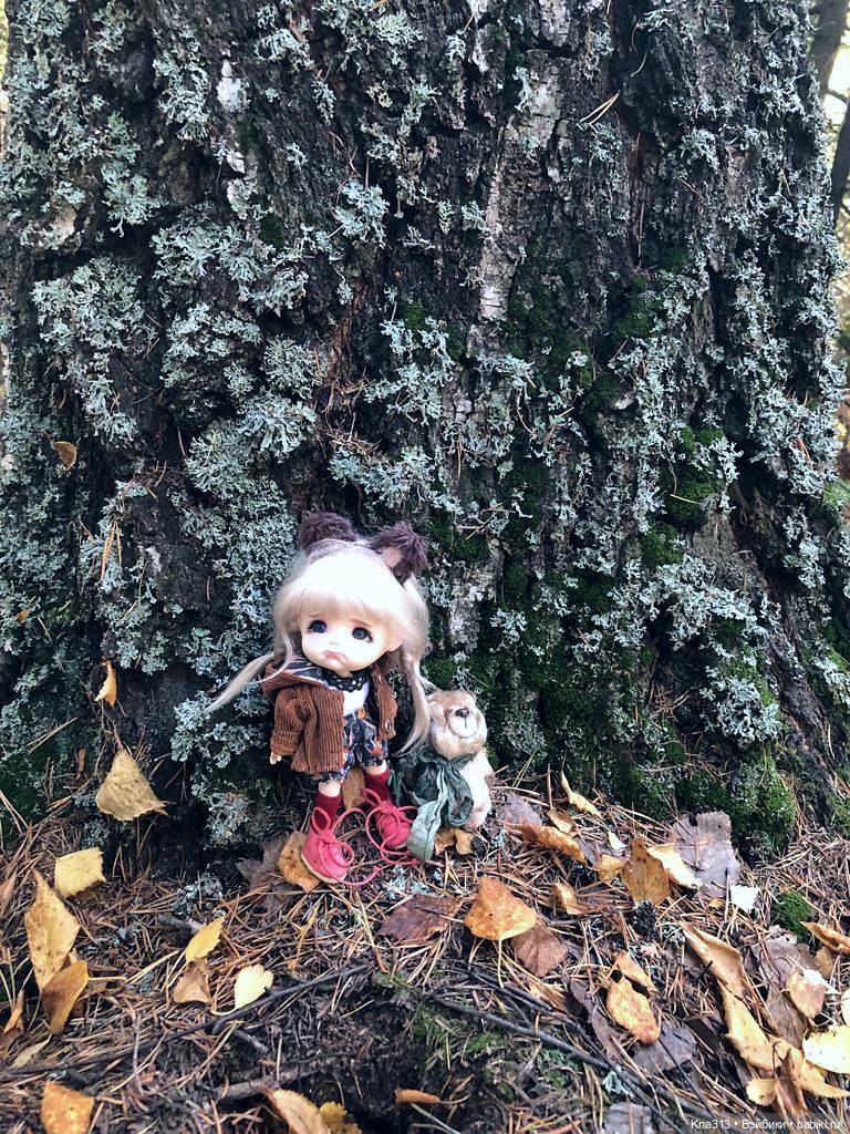 Осенняя радость и потерянные уши (фото 4)