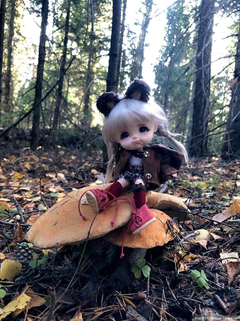 Осенняя радость и потерянные уши (фото 8)