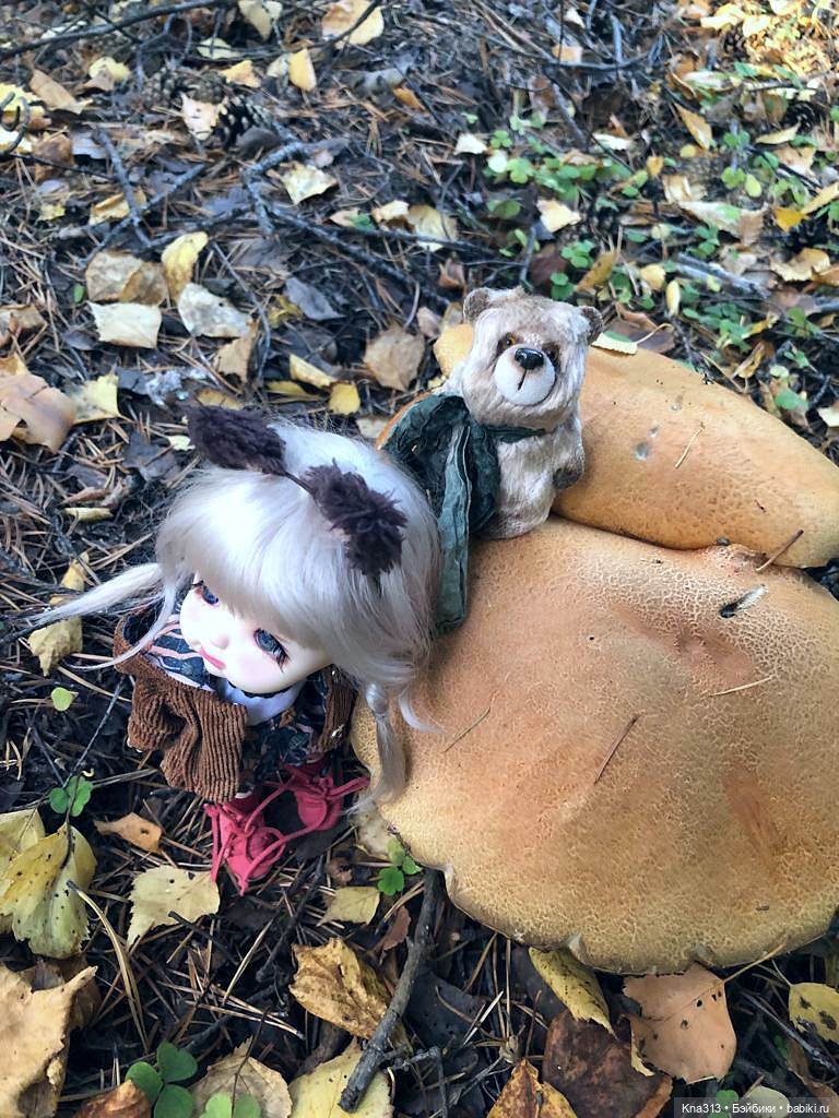 Осенняя радость и потерянные уши (фото 6)