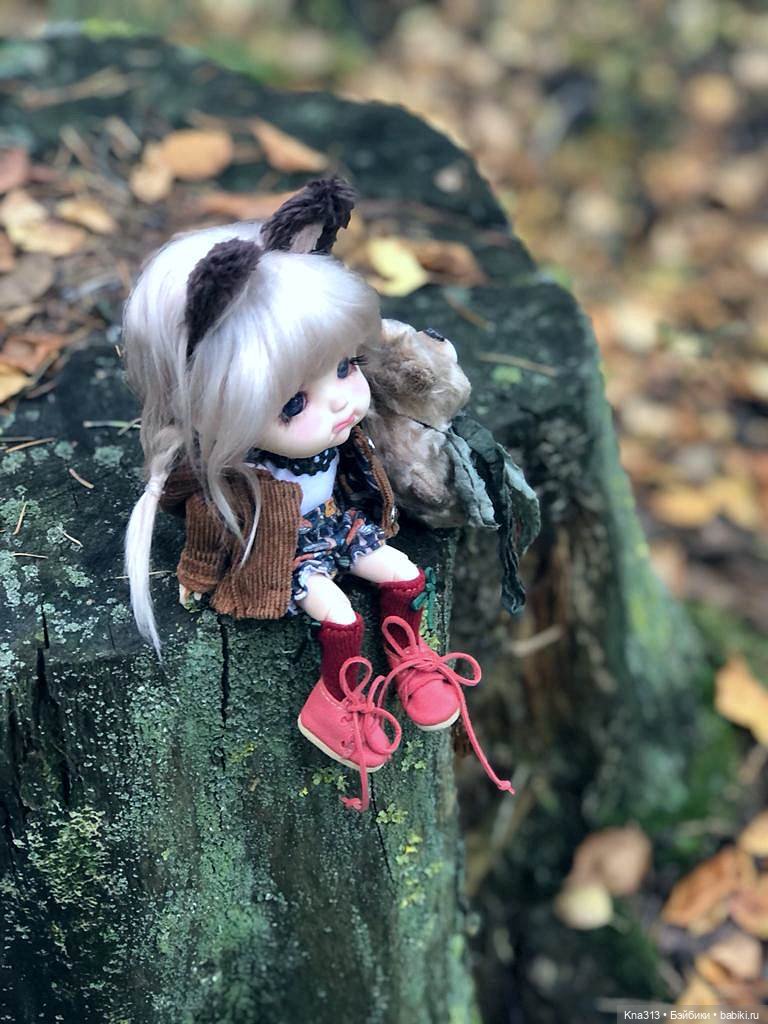 Осенняя радость и потерянные уши