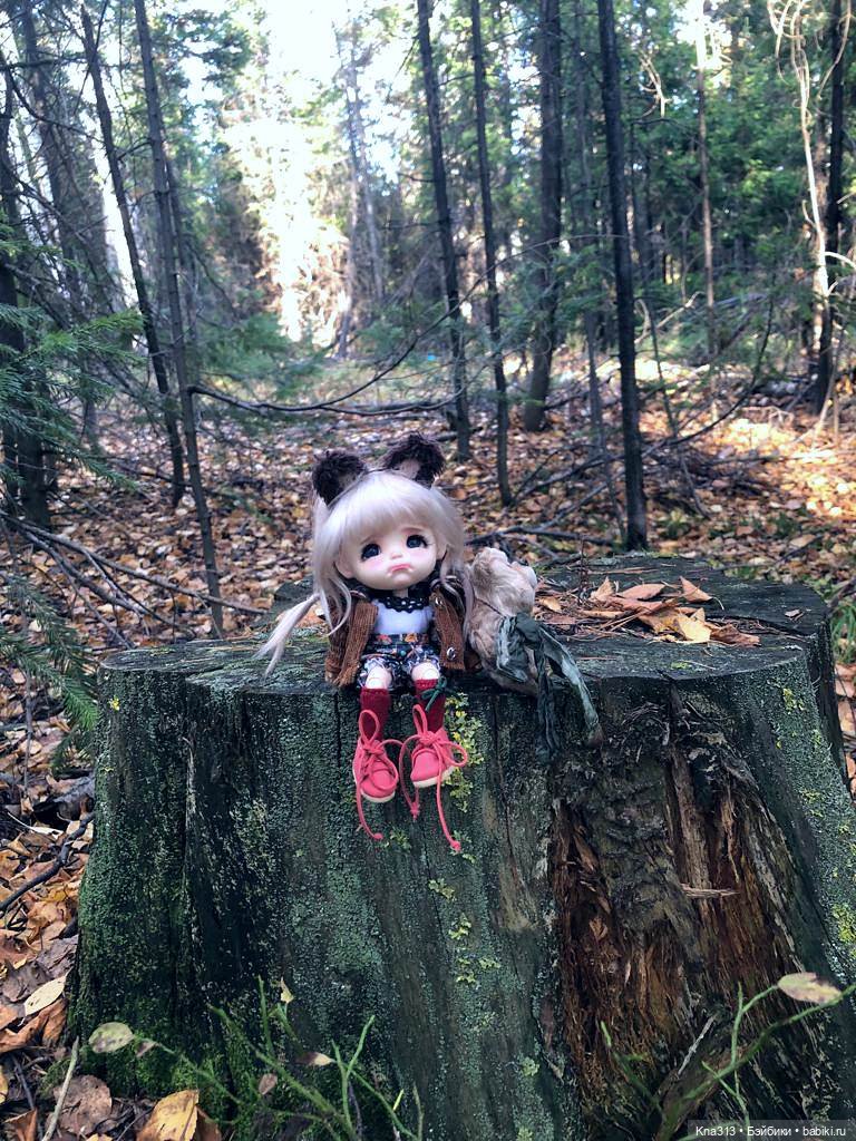 Осенняя радость и потерянные уши