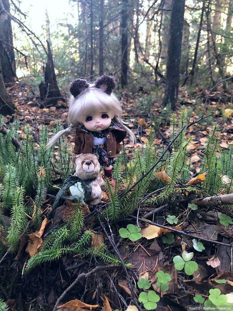 Осенняя радость и потерянные уши