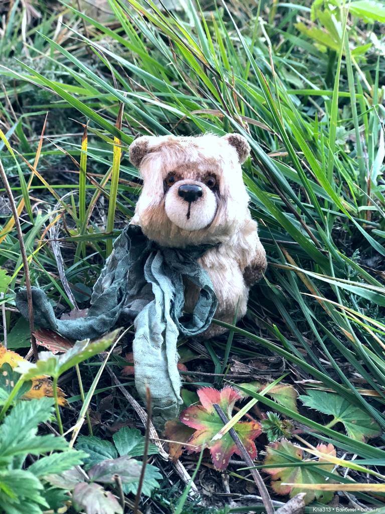 Осенняя радость и потерянные уши