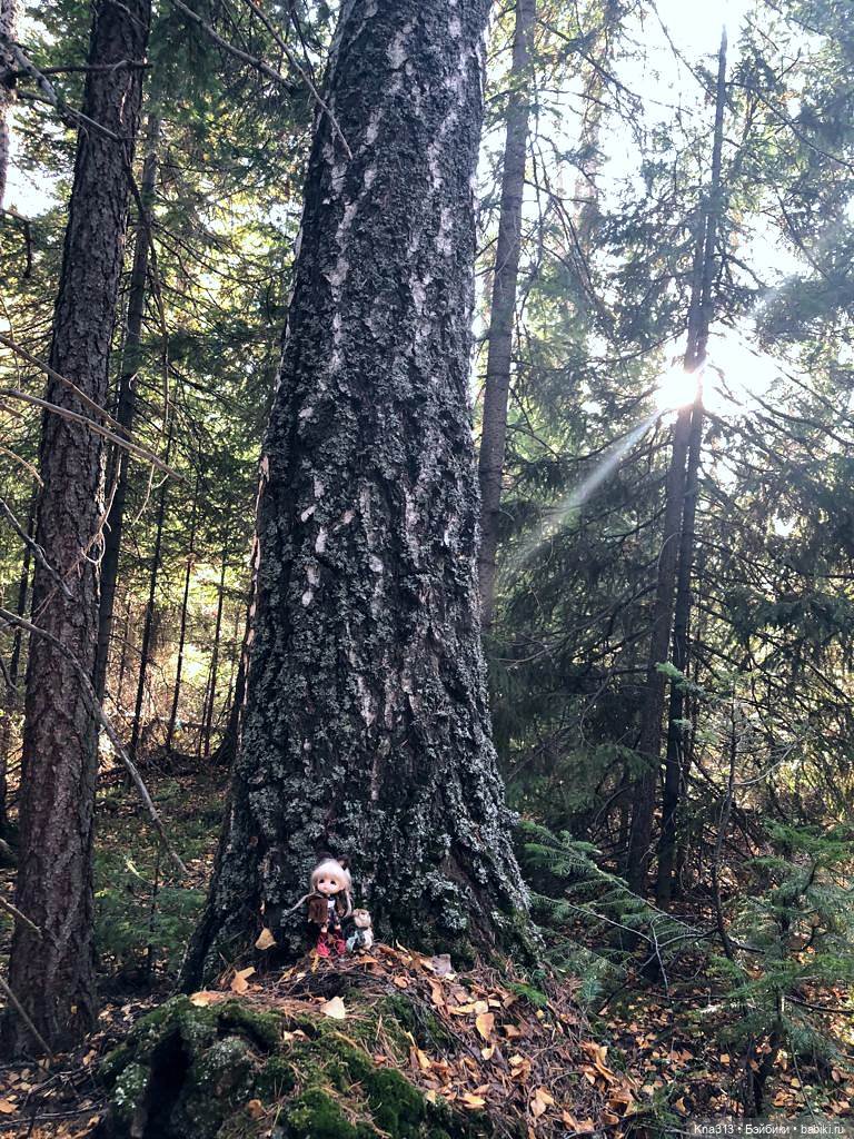 Осенняя радость и потерянные уши (фото 3)