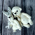 Парочка молочных малышей