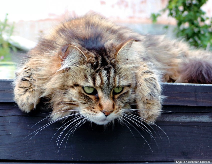 Долгожданное солнце — Одежда и обувь для кукол своими руками: фото (фото 3)