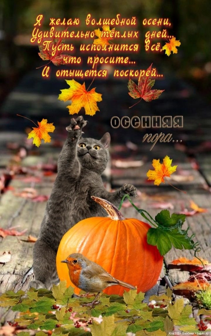 Долгожданное солнце — Одежда и обувь для кукол своими руками: фото (фото 8)