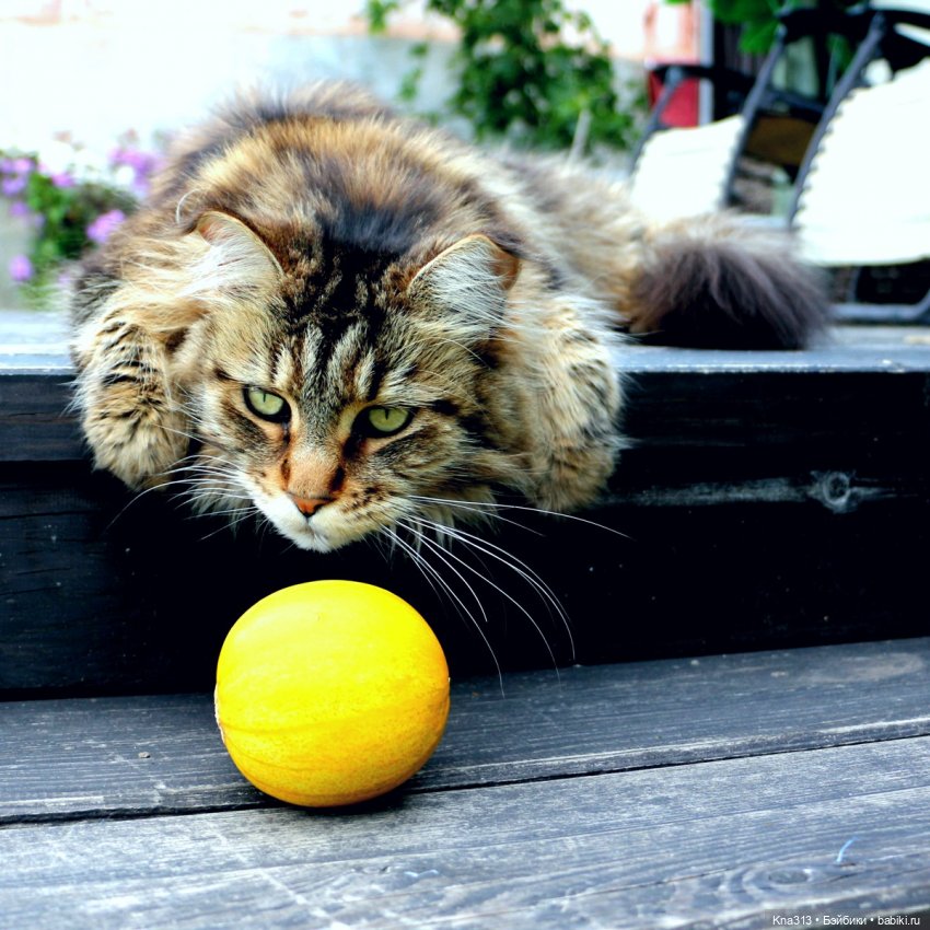 Долгожданное солнце — Одежда и обувь для кукол своими руками: фото (фото 4)