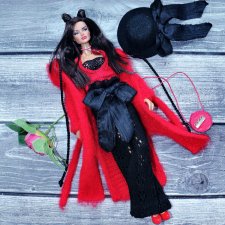 Комплект для Барби, Интегрити