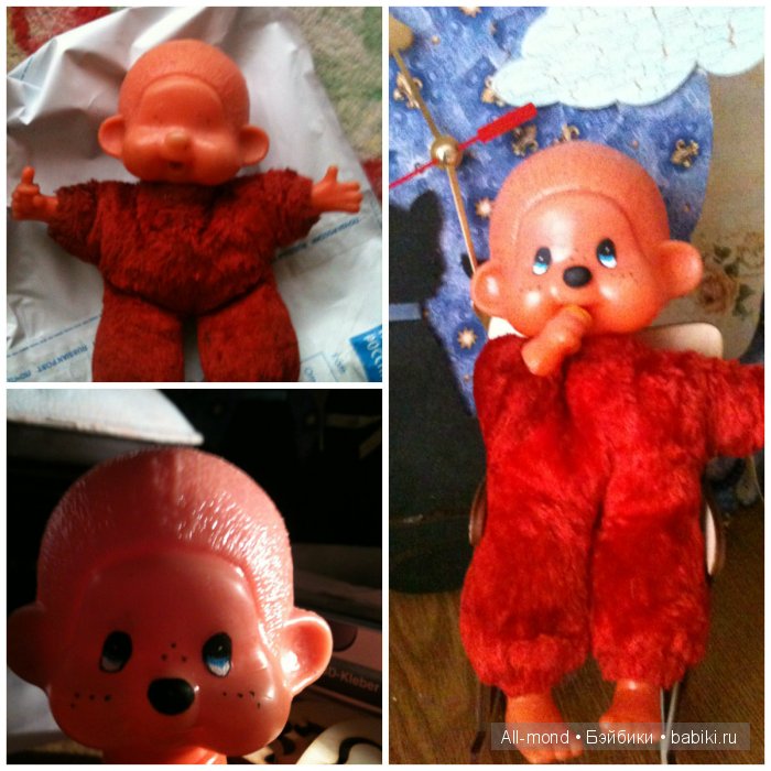 Что это за зверь? Помогите опознать