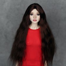 Парик для Eslyn's Doll