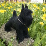 Миттельшнауцер, игрушка вязанная спицами