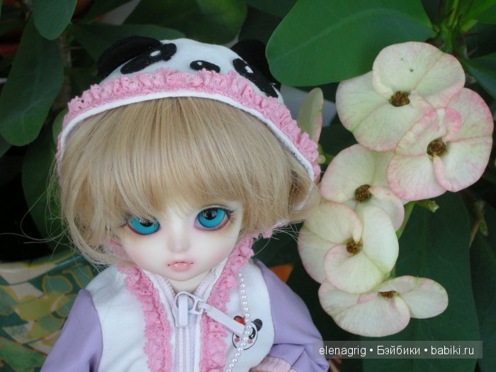 Хенси от Ангел Студио