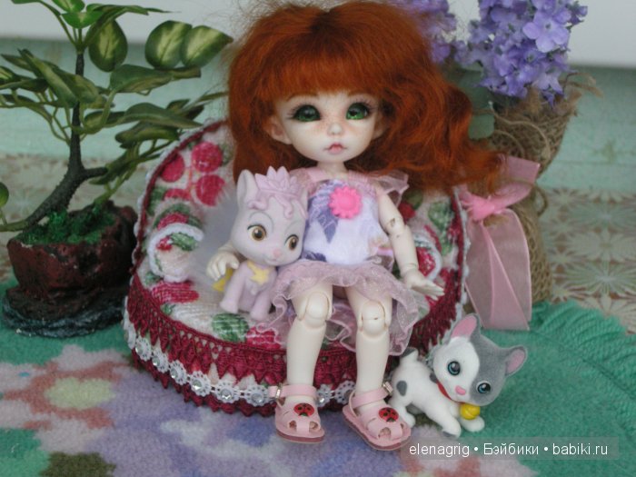 пукифи Анте