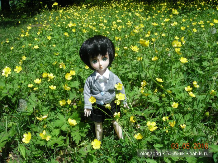 Мои Звёздочки в новых паричках