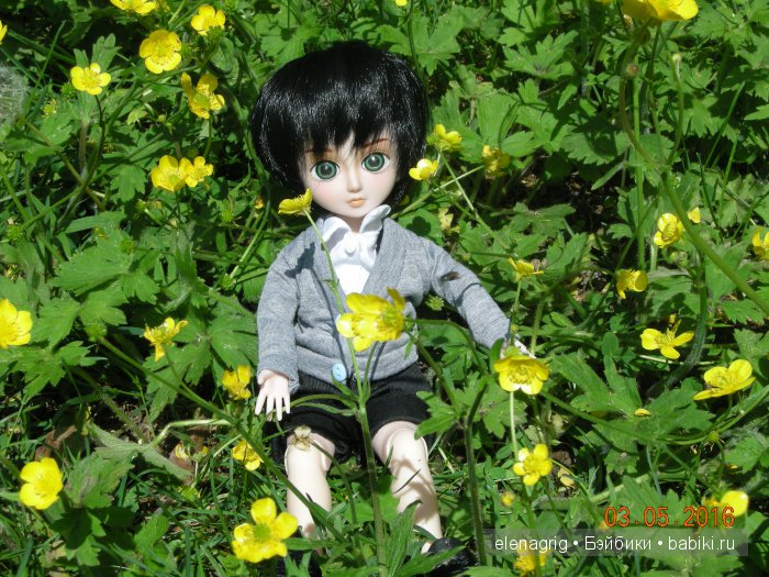 Мои Звёздочки в новых паричках