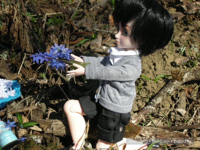 Мои Звёздочки в новых паричках (фото 4)