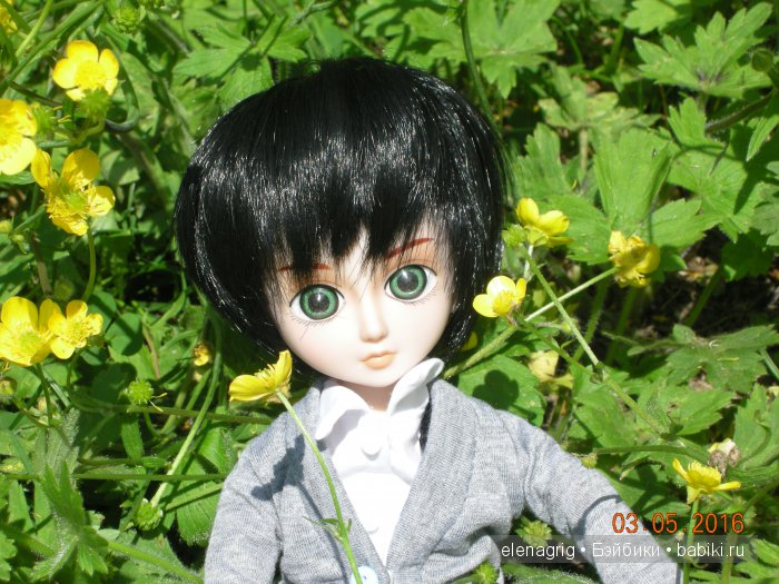 Мои Звёздочки в новых паричках