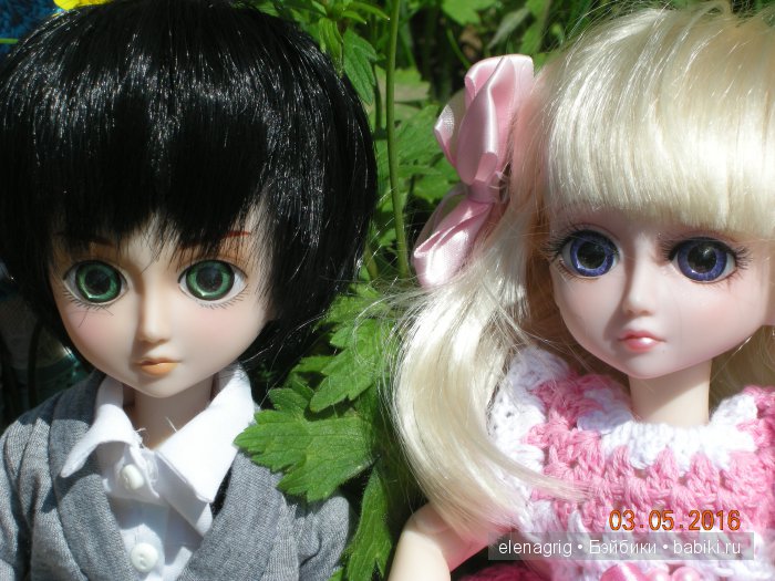 Мои Звёздочки в новых паричках