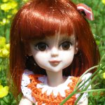 Мои Звёздочки в новых паричках