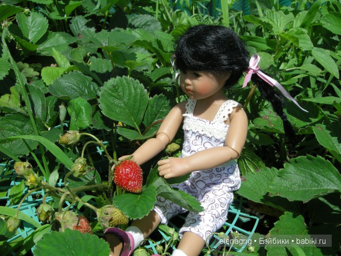 Фелипа Хайди Плюсцок