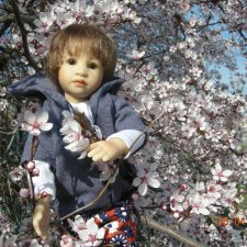 Наш новый мальчик и весенняя прогулка