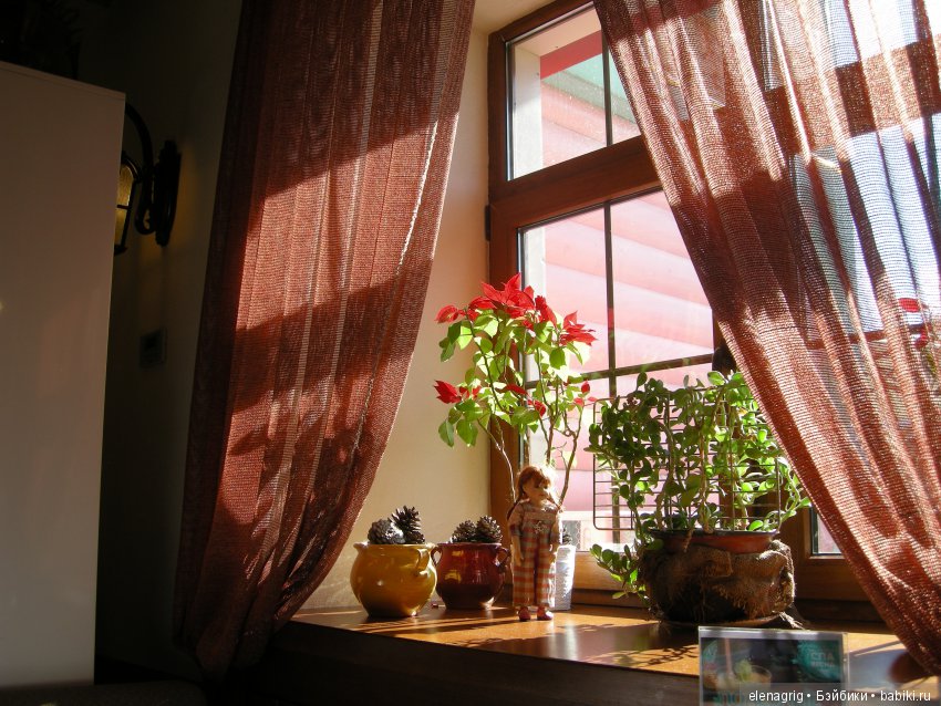 Прогулка по Сочи-парку — Туризм и путешествия: фотоотчеты из поездок