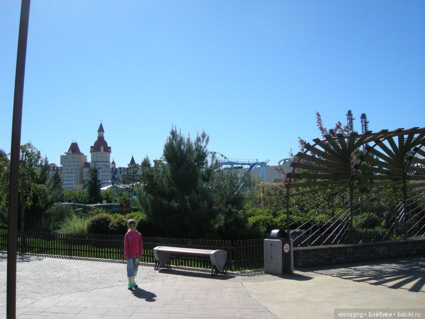 Прогулка по Сочи-парку — Туризм и путешествия: фотоотчеты из поездок