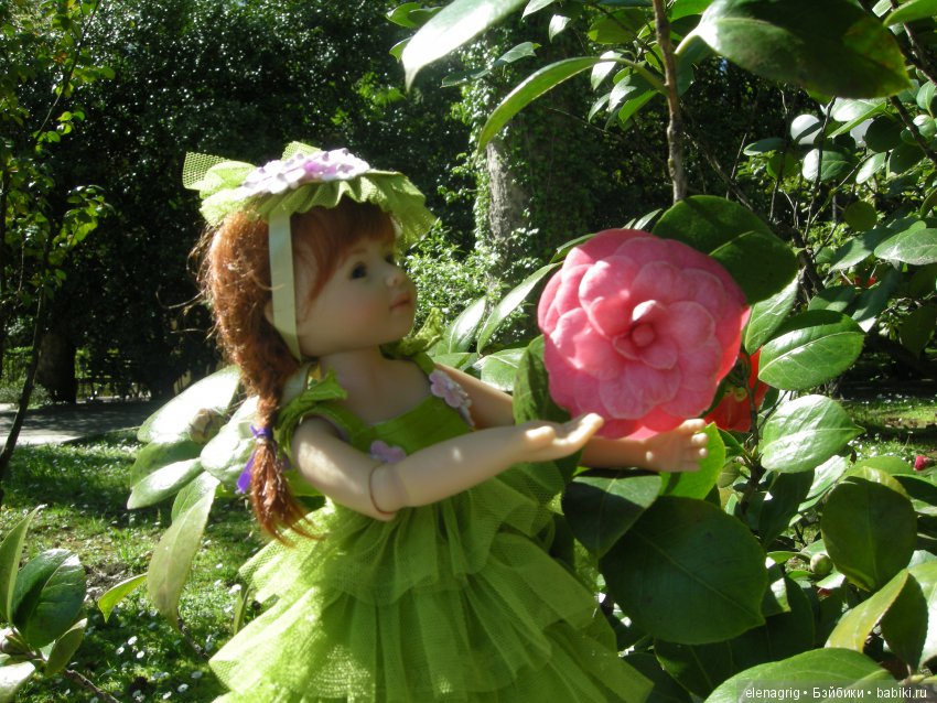 куклы Schildkrot, Шильдкрет