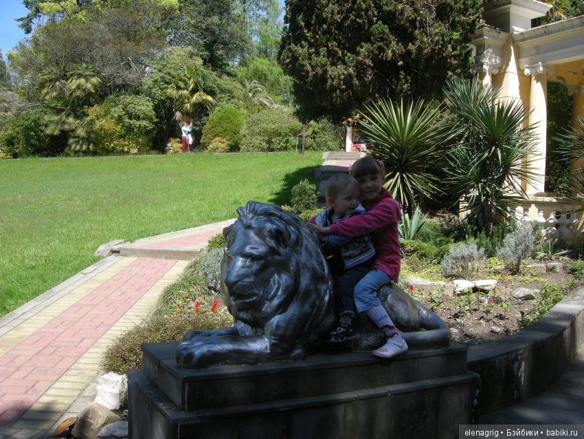 куклы Schildkrot, Шильдкрет