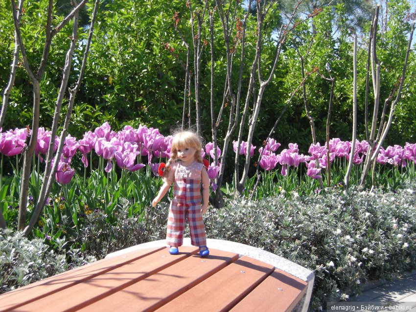 Прогулка по Сочи-парку — Туризм и путешествия: фотоотчеты из поездок