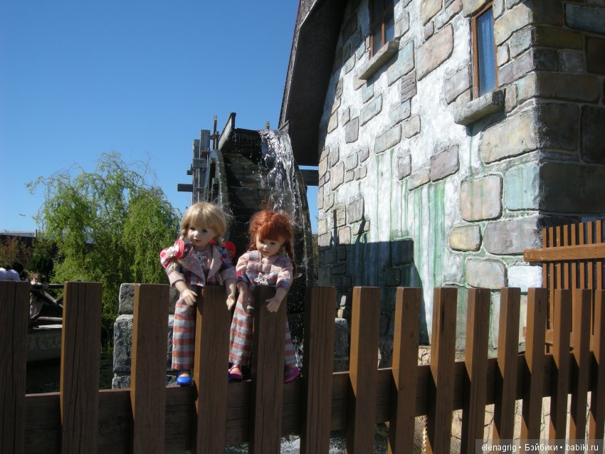 Прогулка по Сочи-парку — Туризм и путешествия: фотоотчеты из поездок